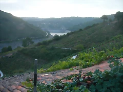 DSCN3913