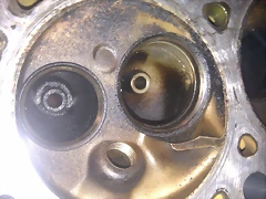 IMAG0116 IMAG0116