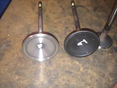 IMAG0121 IMAG0121