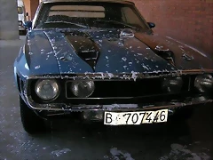 Mustang B-707446