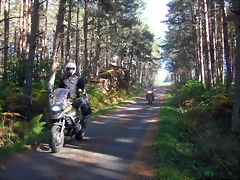 IMG_0580.5 IMG_0580.5