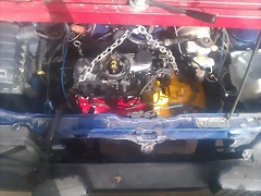 IMAG0433 IMAG0433
