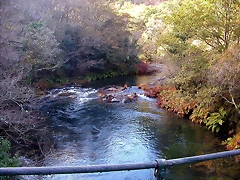 DSCN9250 DSCN9250