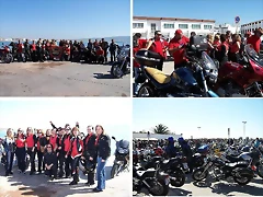 CONIL CONIL