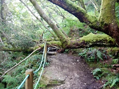 DSCN5831 DSCN5831