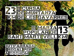 poster_2011