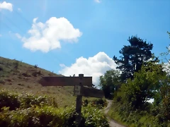 DSCN0559 DSCN0559