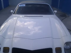 IMAG0521 IMAG0521