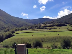 DSCN1625 DSCN1625