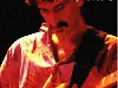 zappa