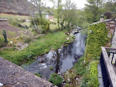 DSCN0532 DSCN0532