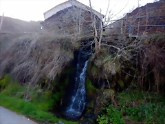 DSCN4070 DSCN4070