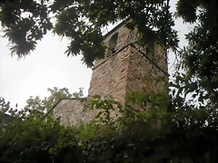 DSCN4834