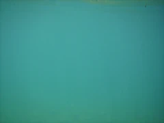P2090089 P2090089