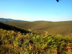 DSCN7710 DSCN7710