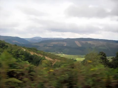 IMG_0446 IMG_0446