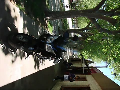rural 2010 177