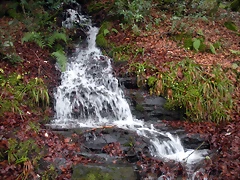 DSCN0712 DSCN0712