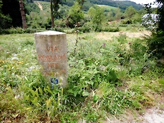 DSCN4424 DSCN4424