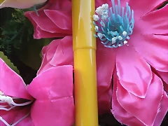 pluma antiguas 2