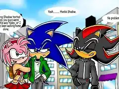 Amy-Sonic-And-Shadow-sonic-couples-2348110-500-305