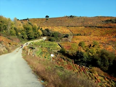 DSCN4683 DSCN4683
