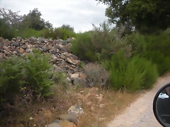 DSCN6232 DSCN6232