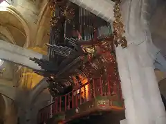 Órgano Catedral Tuy