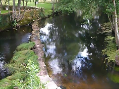 DSCN1613 DSCN1613