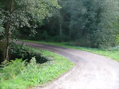 DSCN5336 DSCN5336