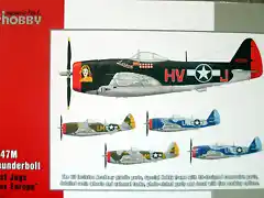 Special Hobby - P-47M - 1-72