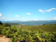 DSCN7121 DSCN7121