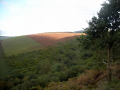 DSCN8443 DSCN8443