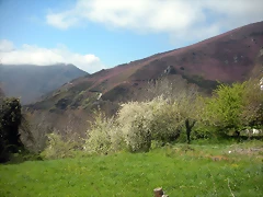 DSCN3933 DSCN3933