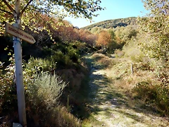 DSCN7952 DSCN7952