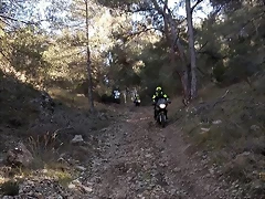 50