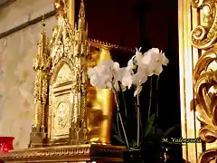 06, orqudeas en el sagrario, marca