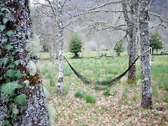 DSCN3947 DSCN3947