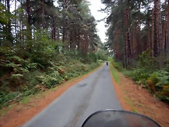 DSCN7098 DSCN7098