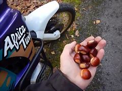 DSCN8444 DSCN8444