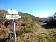 DSCN9706 DSCN9706
