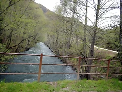 DSCN3659 DSCN3659