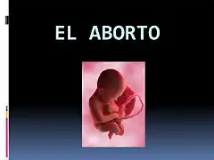 diapositivasdeexposiciondelaborto-100616175403-phpapp01-thumbnail-4