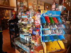 DSCN8656