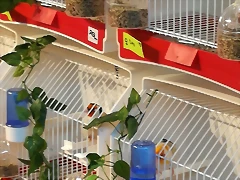 IMG_20170122_120923 IMG_20170122_120923
