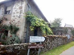 DSCN7768 DSCN7768