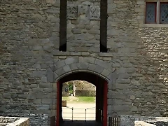 IMG_1242 (Copier) IMG_1242 (Copier)
