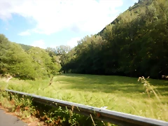 DSCN2423 DSCN2423