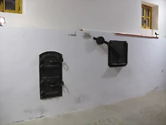 IMG_1696 IMG_1696