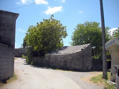DSCN5396